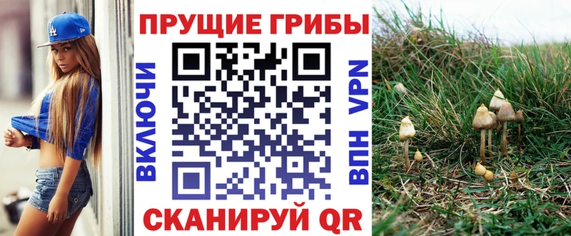 цена   мега   Галлюциногенные грибы GOLDEN TEACHER  Суворов 